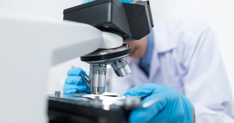 Создали гибрид подсолнечника: казахстанского ученого хотели исключить из авторов патента