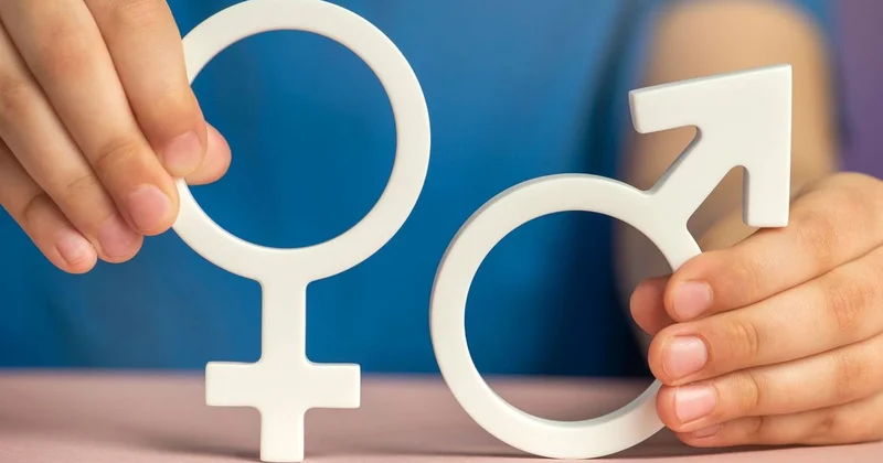Гендерное равенство: как конституционная реформа укрепляет и расширяет права женщин