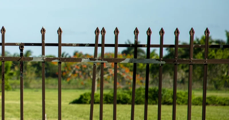 Борьба с блатными беспредельщиками : Базарбек потребовал провести проверки и расследование по ряду госорганов