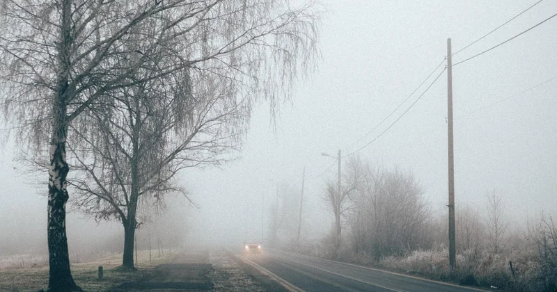 Туман и гололед ожидаются в регионах Казахстана: объявлено штормовое предупреждение