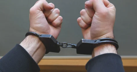 Раскрыта транснациональная контрабанда биоресурсов