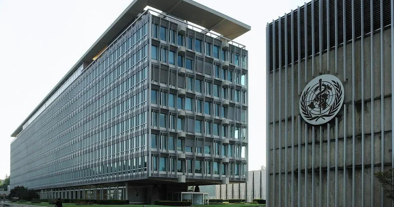 Аргентина официально вышла из состава ВОЗ из за разногласий во время пандемии COVID 19