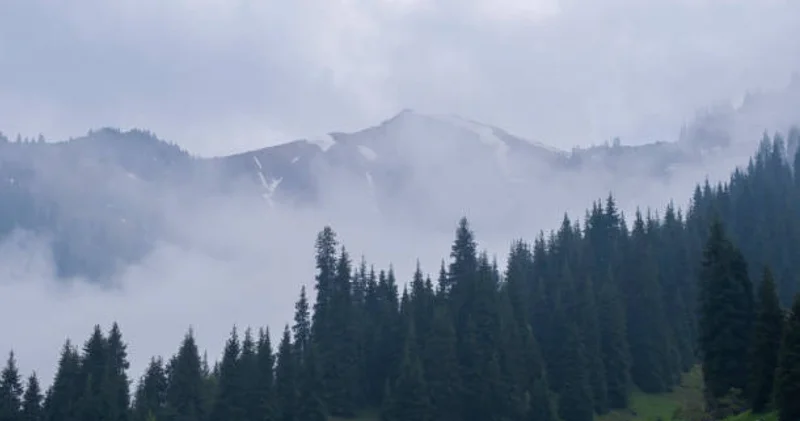 Қауіпті метеорологиялық құбылыстары күтіледі Қазгидромет