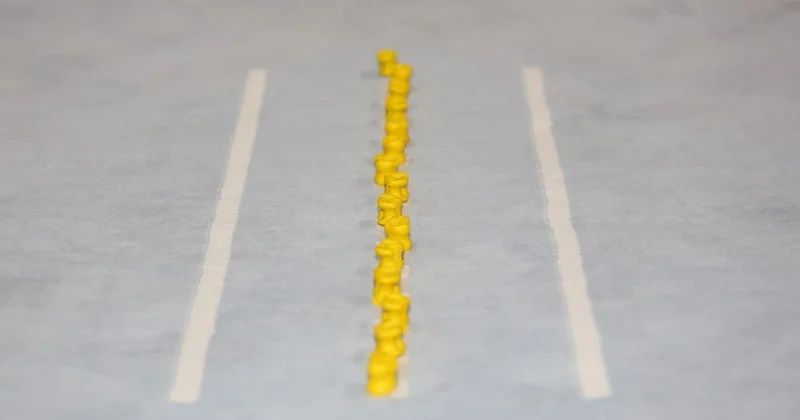 Республиканская акция Караван национальных игр пройдет в школах