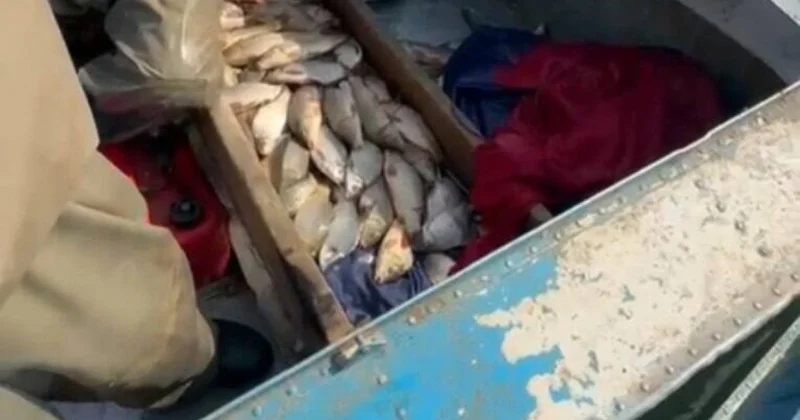 Браконьеров со 130 кг рыбы задержали в Туркестанской области (ВИДЕО)