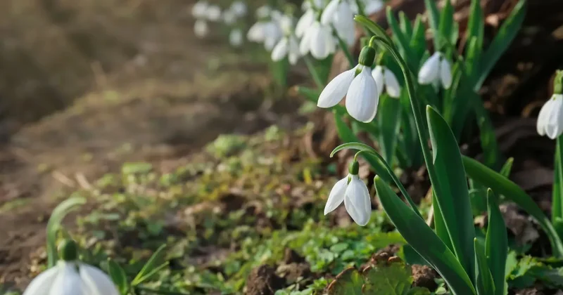 Предпраздничные дни порадуют казахстанцев тёплой и солнечной погодой