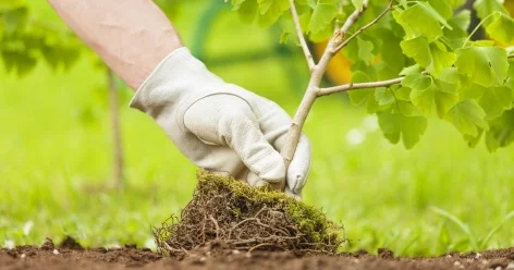 В Казахстане усилят экологическую политику