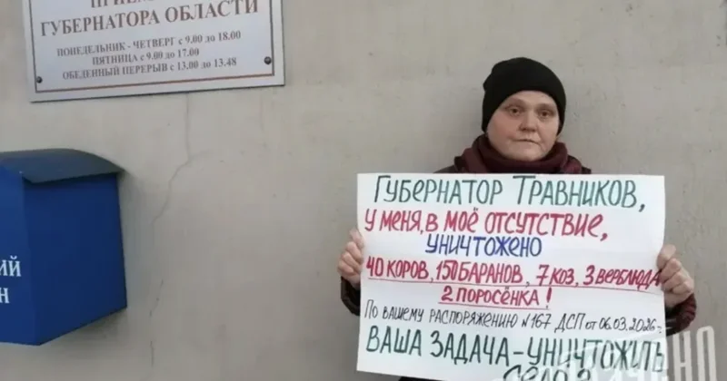 Буду стоять до конца : фермеры в России протестуют из за массового уничтожения скота