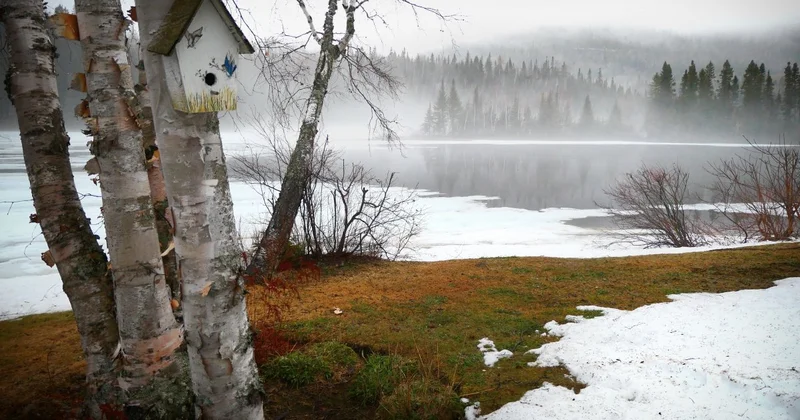 Туман, гололед и пыльные бури накроют Казахстан