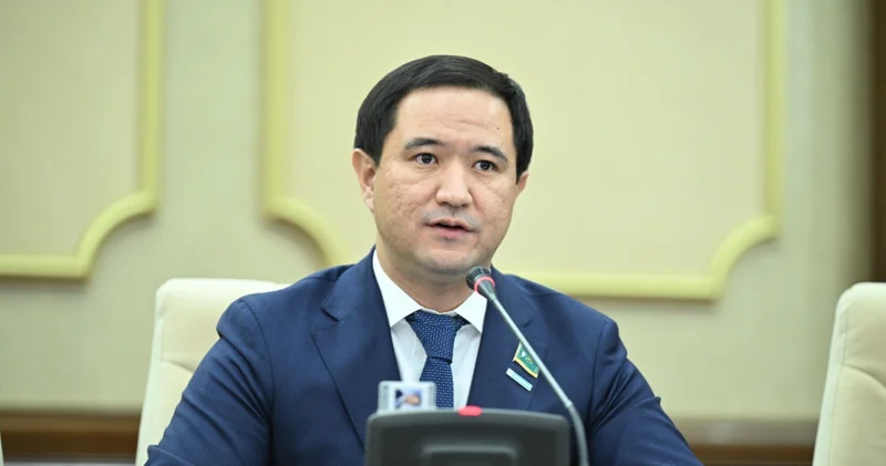 Қағаз жүзінде ғана кәсіби мамандар кейін әлеуметтік көмекке тәуелді болып қалуы мүмкін Әбутәліп Мутәлі