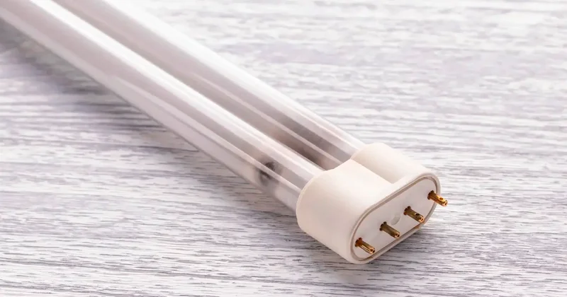 Жетісу облысындағы балабақшада қауіпті қалдықтар сақталған