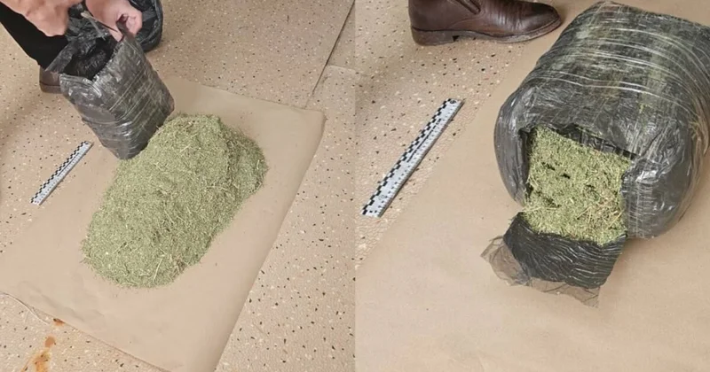 Крупную партию наркотиков нашли в арендованной квартире у жителя Актюбинской области (видео)