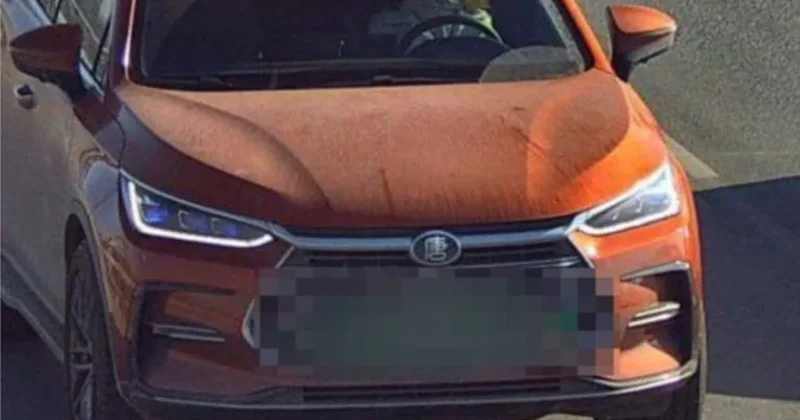 Водитель получила штраф за телефон в руке пешехода