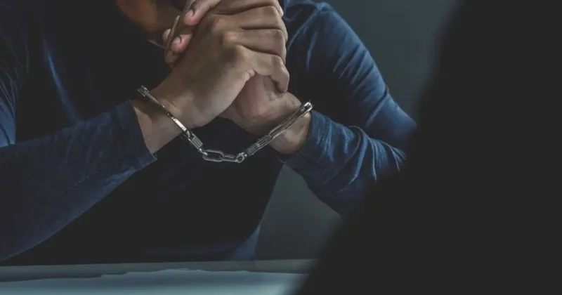 Сам организовал вырубку деревьев: Санжара Бокаева задержали по уголовному делу в Алматы