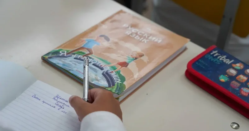 Учебники для нескольких классов обновят в Казахстане в 2026 году