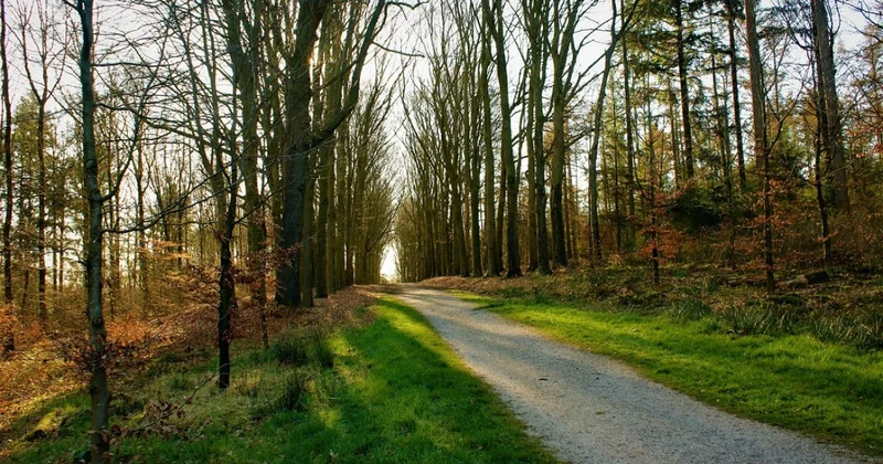 До плюс 23 градусов потеплеет в Казахстане