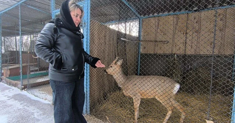 А вместо спасибо одни гадости