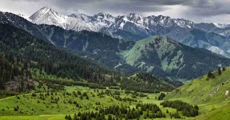 Скандал вокруг Кокжайлау : гендиректор ГеоДата Плюс заявила о подмене данных и нарушениях