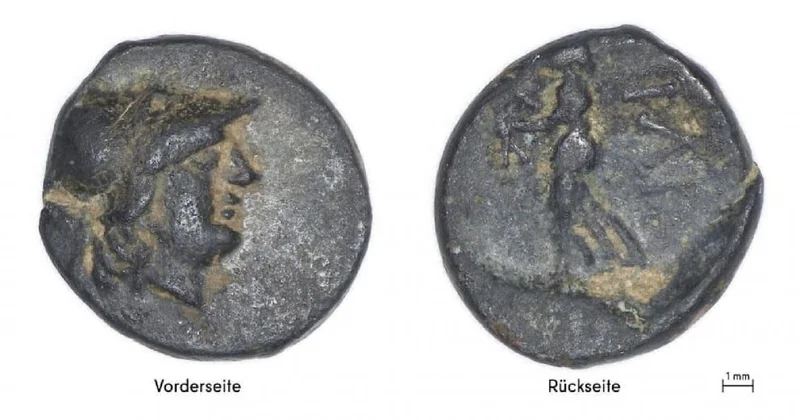 Школьник нашел древнегреческую монету III века до н. э.