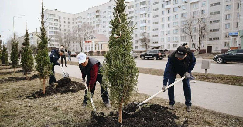 На субботник как на праздник