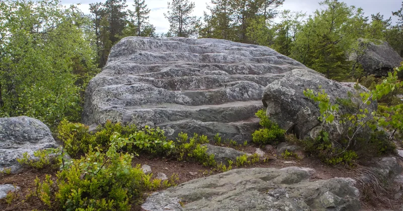 Абай облысында жоғалған шетел азаматының мәйіті табылды