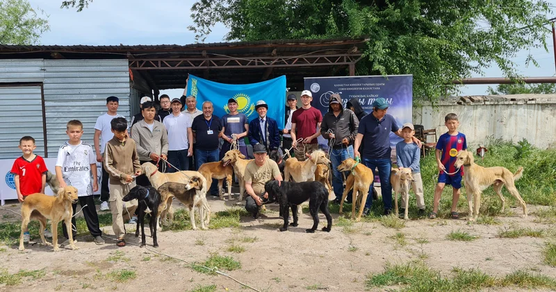 Меркіде үздік қазақы тазылар анықталды