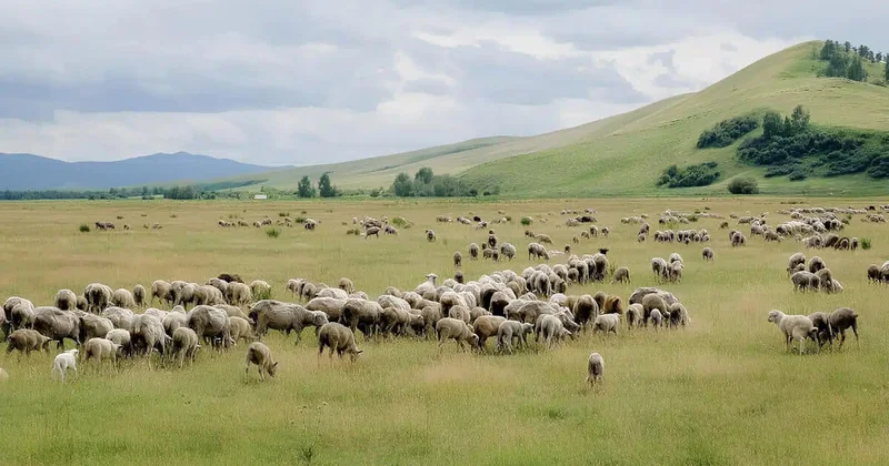 Село без рук