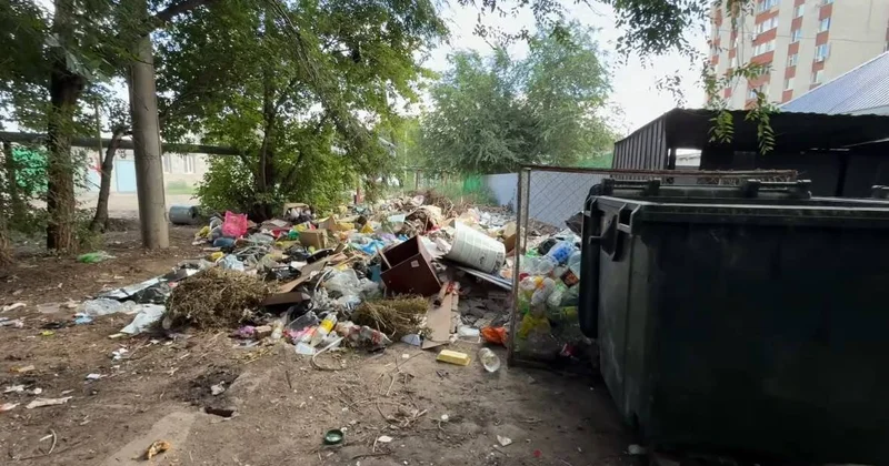 Таза Қазақстан : Батыс Қазақстан облысында биыл 5 мыңға жуық құқықбұзушылық анықталды