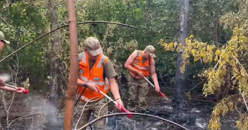 Елімізде бір күнде 12 орман өрті тіркелді