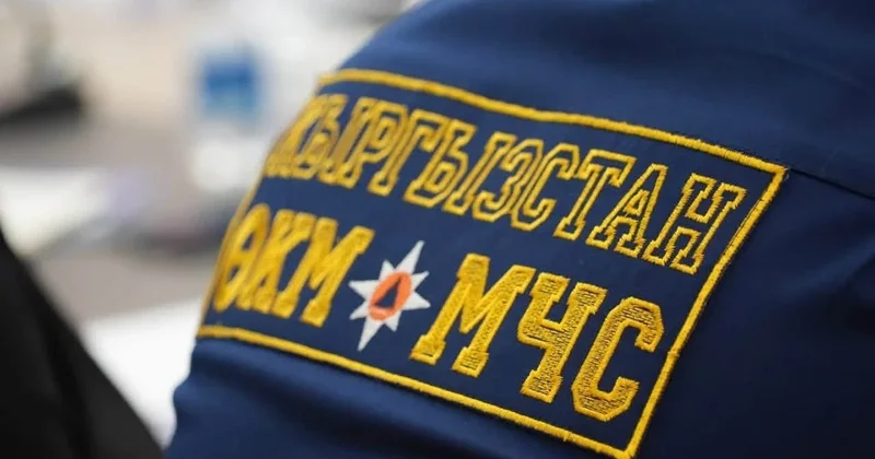 Экс главу МЧС Кыргызстана задержали и водворили в изолятор