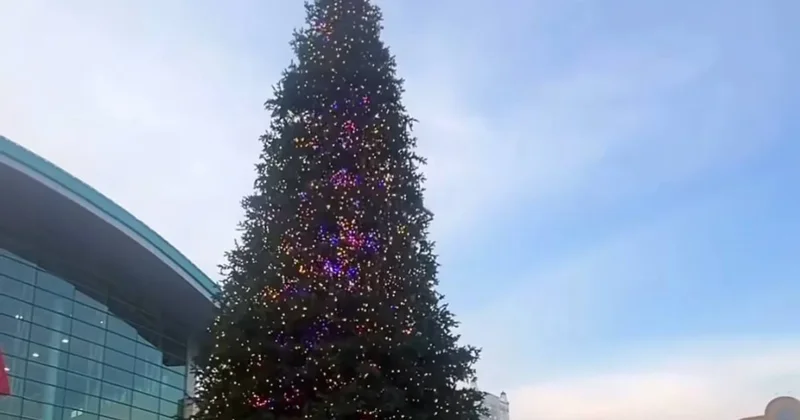 Алматинцы возмутились установкой новогодней ёлки до Дня независимости