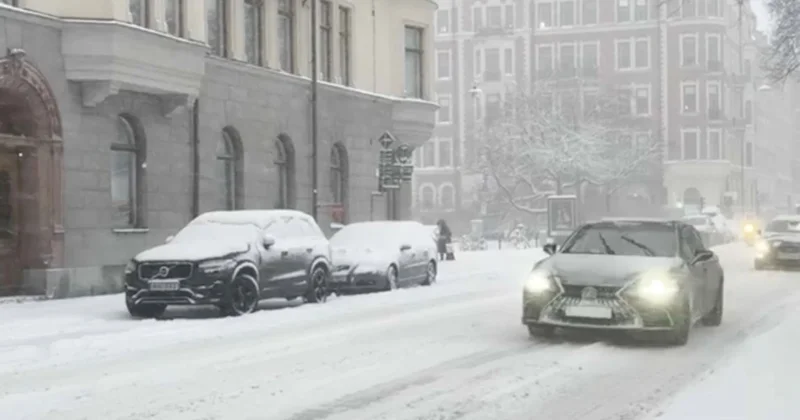 Швецияда ЖИ көктайғақтың алдын алады