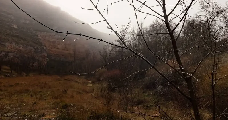 Прогноз погоды на 19 ноября: гололёд и низовая метель ожидаются местами на севере Казахстана