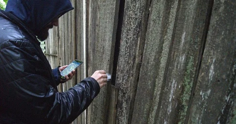 Торговлю наркотиками за криптовалюту в даркнете организовали жители Павлодарской области