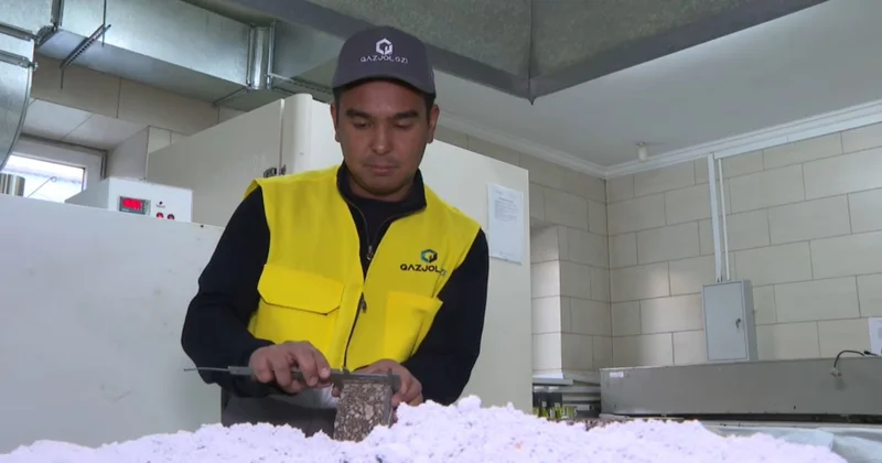 Ғалымдарымыз көктайғаққа қарсы материал әзірледі