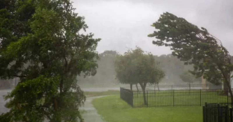 Тұман түсіп, жел соғады: 18 қарашаға ауа райы болжамы