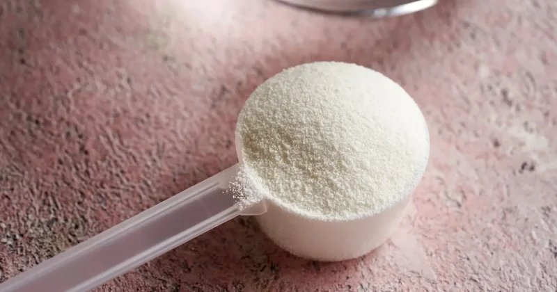 ҚМДБ Ғұламалар кеңесі коллагенді қолдануға қатысты үкім шығарды