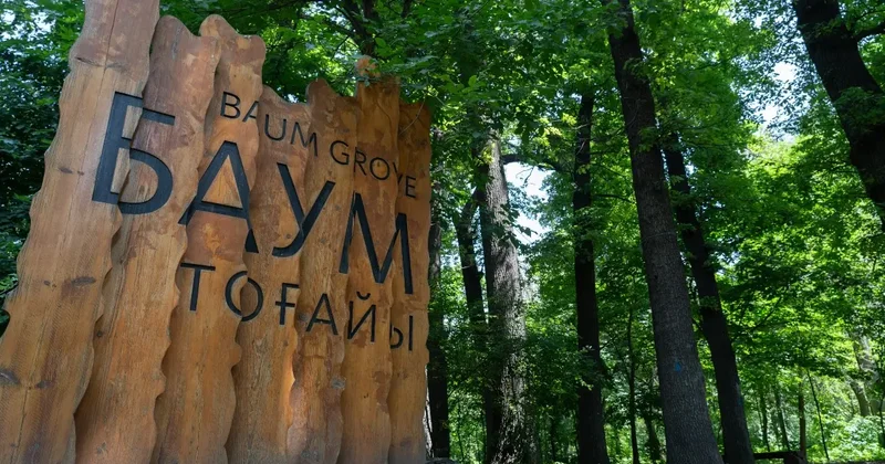 Из леса в парк: кто и почему требовал преображения рощи Баума, рассказал районный аким