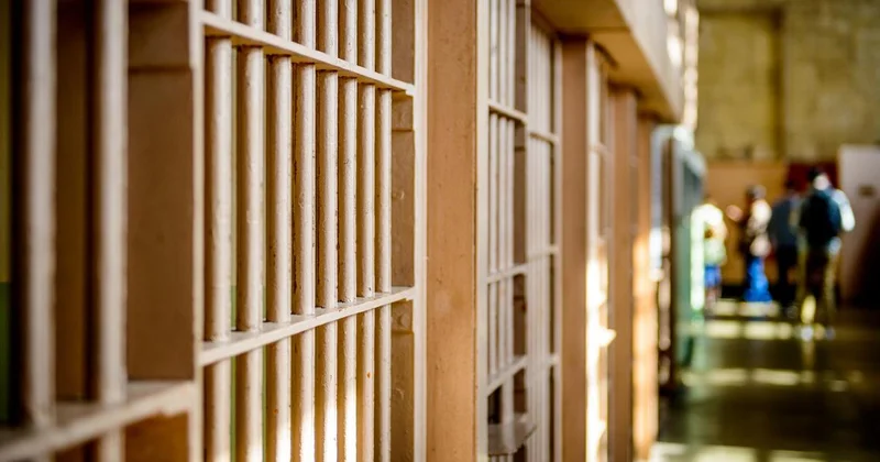 Убийство школьника в Подмосковье: суд арестовал обвиняемого в нападении ученика