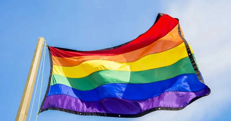 "Нам эти показатели не нужны". В МВД заявили, что не будут ради статистики оформлять дела по ЛГБТ пропаганде