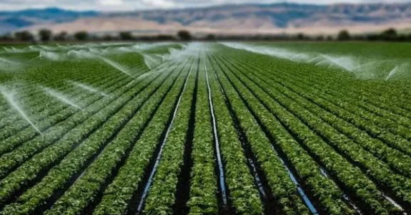 Су ресурстарын басқару цифрланады: 5 өңірде биллинг жүйесі іске қосылды