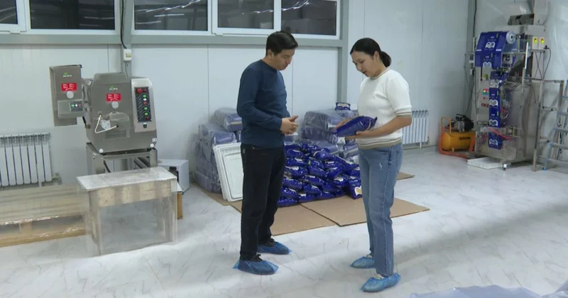 Жамбыл облысында 9 мың тұрғын кәсіп ашты