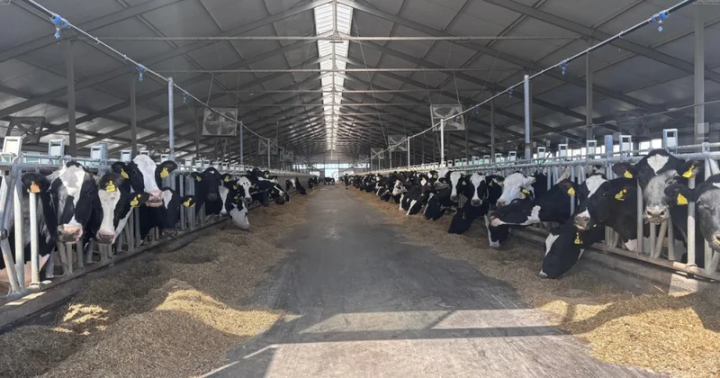 Субсидияның қайтарымы бола ма?