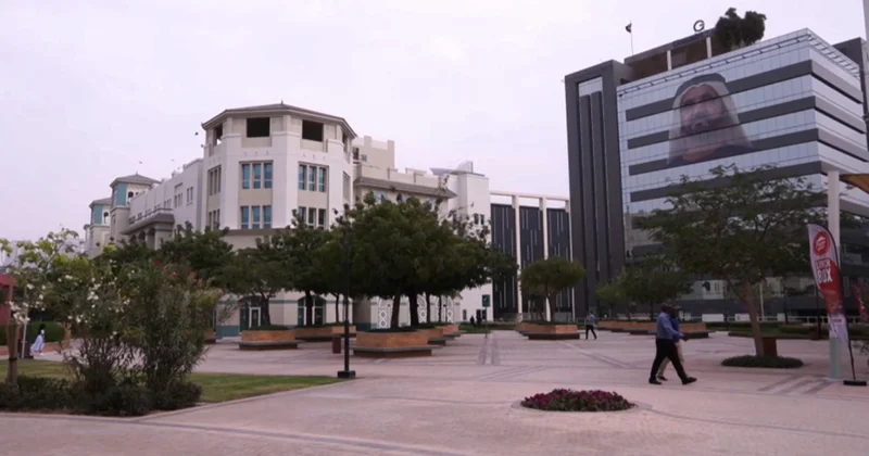 Білім беру саласындағы синергия