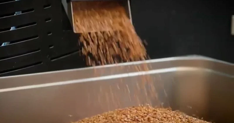 Шоколад қат өнімге айналуы мүмкін