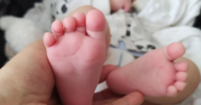 Рождение злого умысла