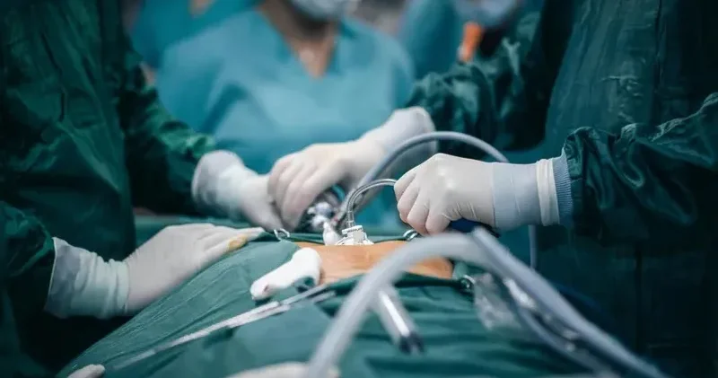 Шымкентте 16 магнит тасын жұтып қойған үш жасар балаға шұғыл ота жасалды