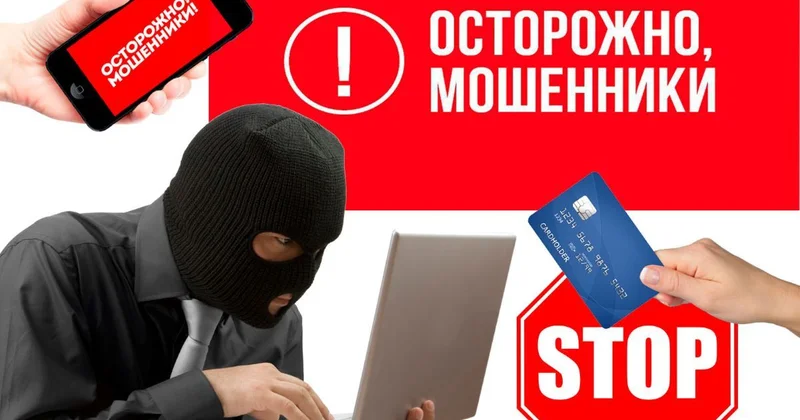 Полиция предупредила о мошенничестве в период новогодних праздников