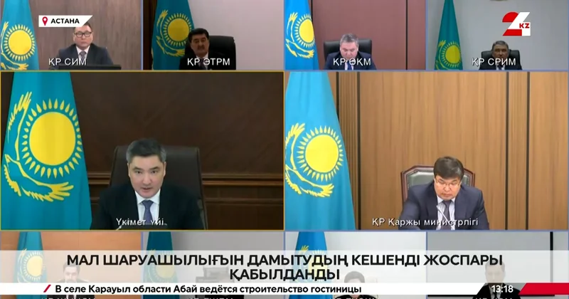 Мал шаруашылығын дамытудың кешенді жоспары қабылданды