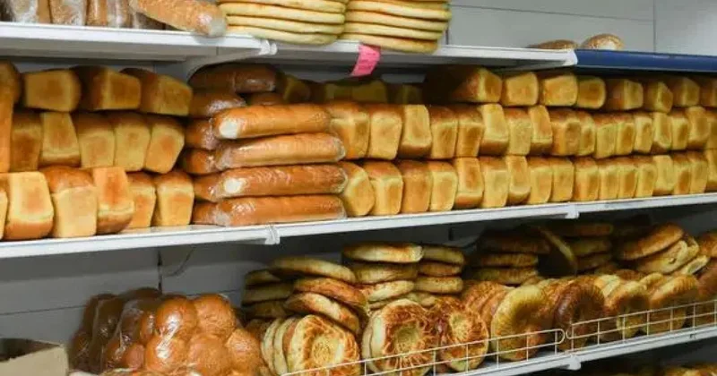 Түркістан облысында нан неге қымбаттады?